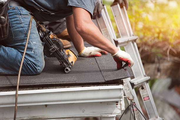 Best Roof Repair Services  in Willmar, MN