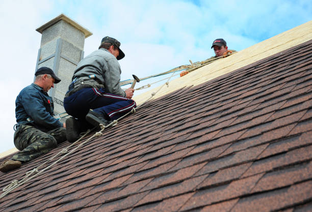Best Commercial Roofing Services  in Willmar, MN